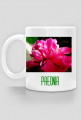 Paeonia