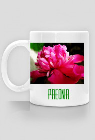 Paeonia