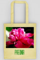 Paeonia