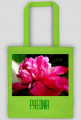 Paeonia