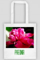 Paeonia