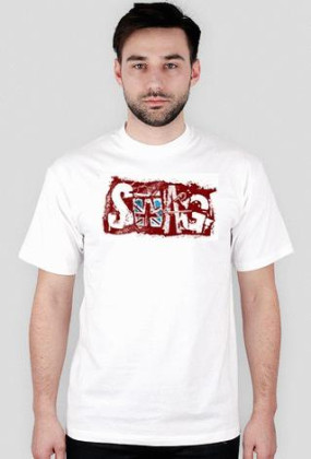 SWAGGER 2