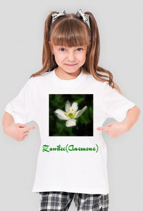 Zawilec (Anemone)