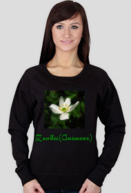 Zawilec (Anemone)