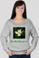 Zawilec (Anemone)