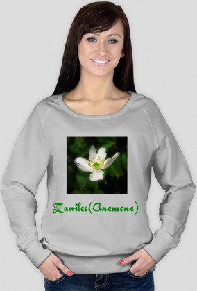 Zawilec (Anemone)