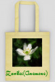 Zawilec (Anemone)
