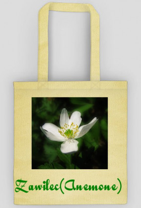 Zawilec (Anemone)