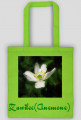Zawilec (Anemone)