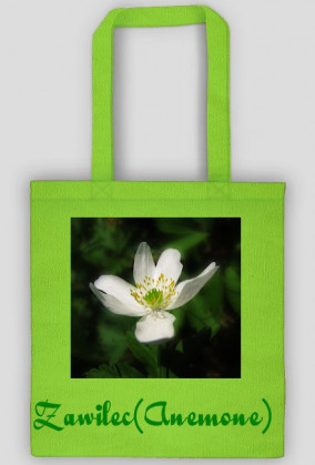 Zawilec (Anemone)