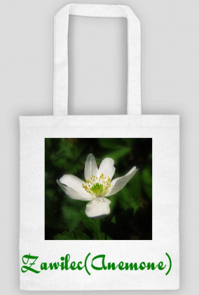 Zawilec (Anemone)