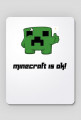 podkładka (minecraft)