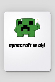 podkładka (minecraft)