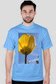 tulipan