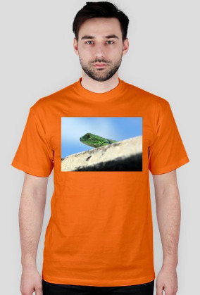 jaszczurka