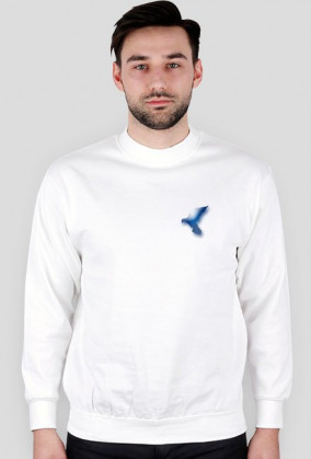 Bluza t2 Rap Apostołowie