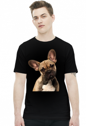 Buldog francuski