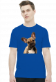 Buldog francuski