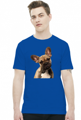 Buldog francuski