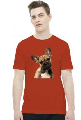 Buldog francuski