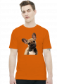 Buldog francuski