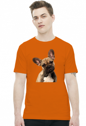 Buldog francuski