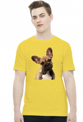 Buldog francuski