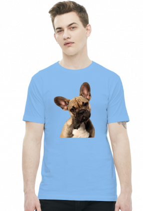 Buldog francuski