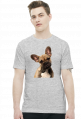 Buldog francuski