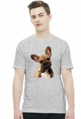 Buldog francuski
