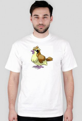 POKEMON #16