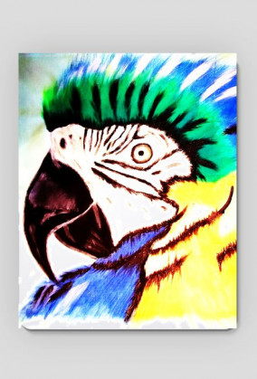 Podkładka pod myszkę Papuga