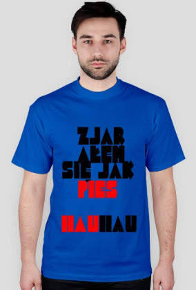 T-SHIRT ZJARAŁEM SIĘ JAK PIES men's