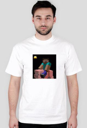 Bluzka minecraft