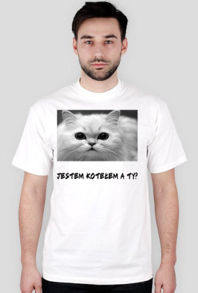 koteł