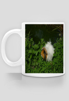 kubek świnka morska