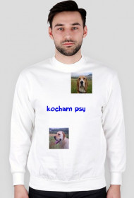 kocham psy