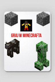 GRAJ W MINECRAFT!
