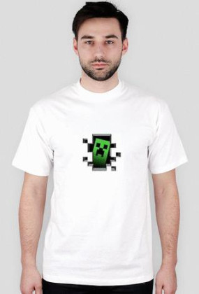 Minecraft5