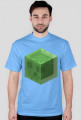 Slime
