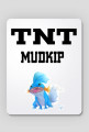MUDKIP