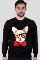 Buldog bluza męska