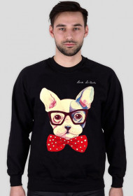 Buldog bluza męska
