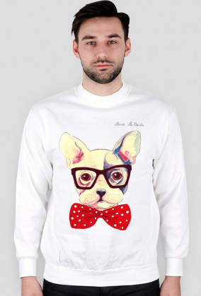 Buldog bluza męska