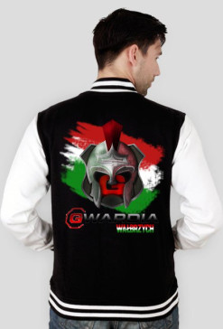 MMA team Wałbrzych