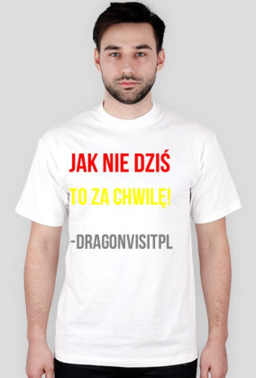 DragonVisitPL
