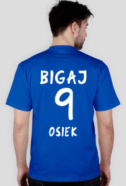 Bigaj