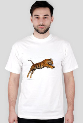 Tiger ;