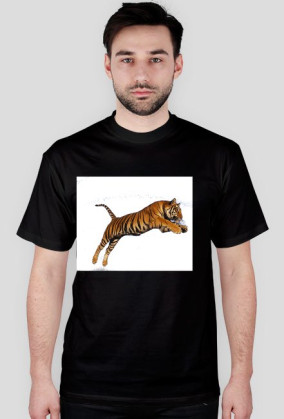Tiger ;