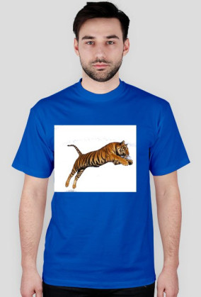 Tiger ;